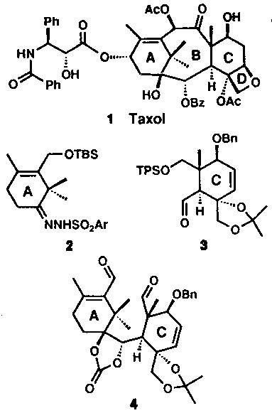 image of taxol and fragments that lead to synthesis